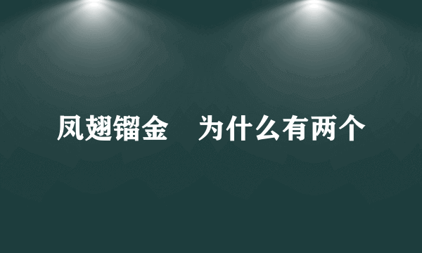 凤翅镏金镋为什么有两个