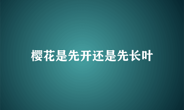 樱花是先开还是先长叶