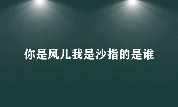 你是风儿我是沙指的是谁