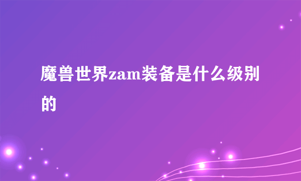 魔兽世界zam装备是什么级别的