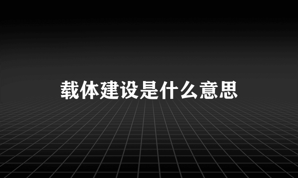 载体建设是什么意思