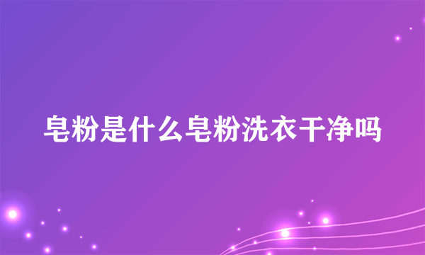 皂粉是什么皂粉洗衣干净吗