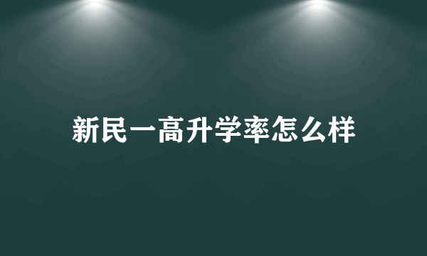 新民一高升学率怎么样