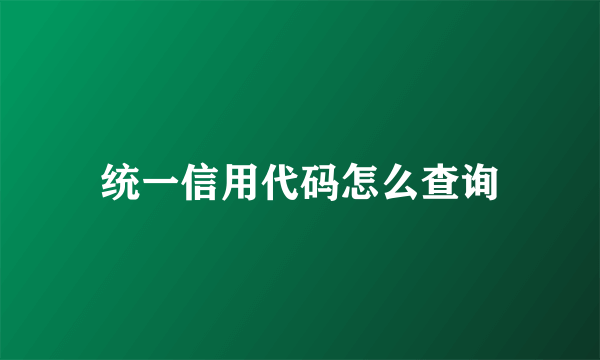 统一信用代码怎么查询