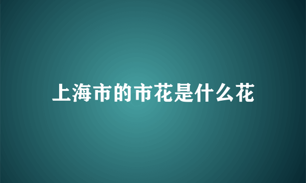 上海市的市花是什么花