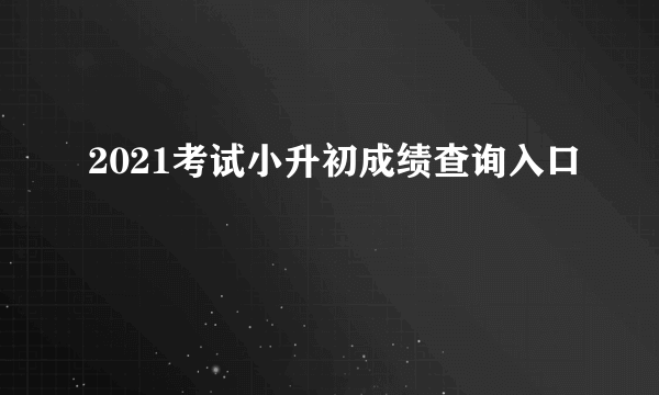 2021考试小升初成绩查询入口