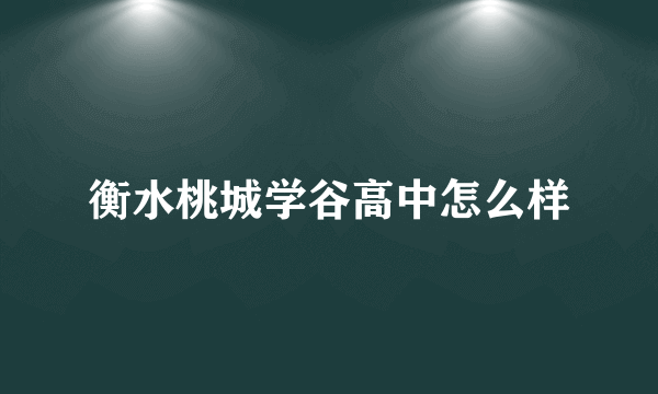 衡水桃城学谷高中怎么样