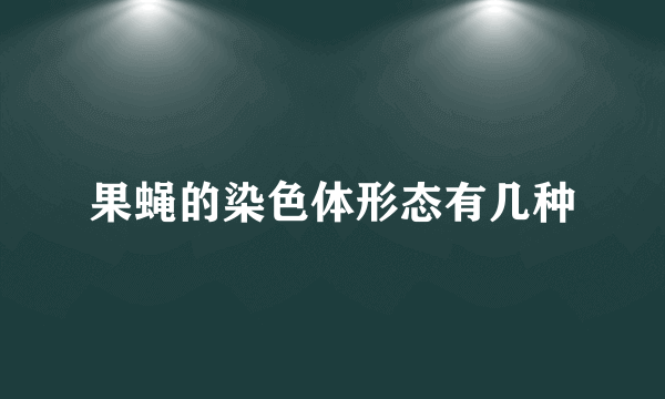 果蝇的染色体形态有几种