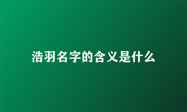 浩羽名字的含义是什么