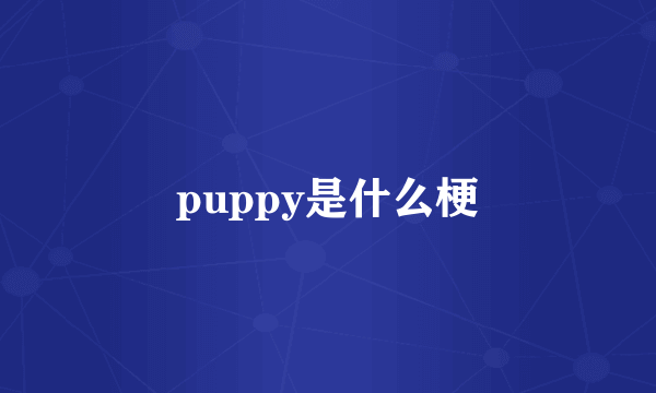 puppy是什么梗