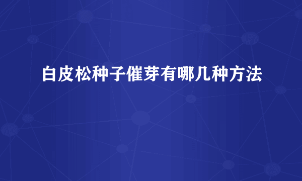 白皮松种子催芽有哪几种方法