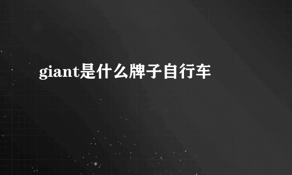 giant是什么牌子自行车