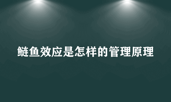 鲢鱼效应是怎样的管理原理