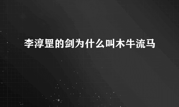 李淳罡的剑为什么叫木牛流马