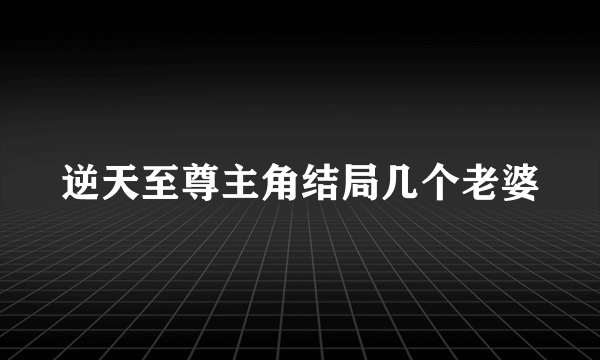 逆天至尊主角结局几个老婆