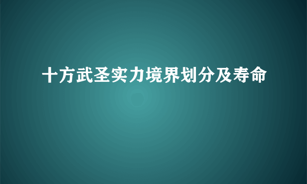 十方武圣实力境界划分及寿命