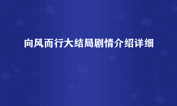 向风而行大结局剧情介绍详细