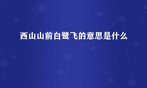 西山山前白鹭飞的意思是什么