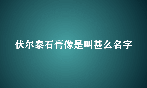 伏尔泰石膏像是叫甚么名字