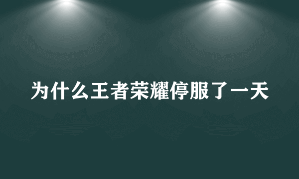 为什么王者荣耀停服了一天