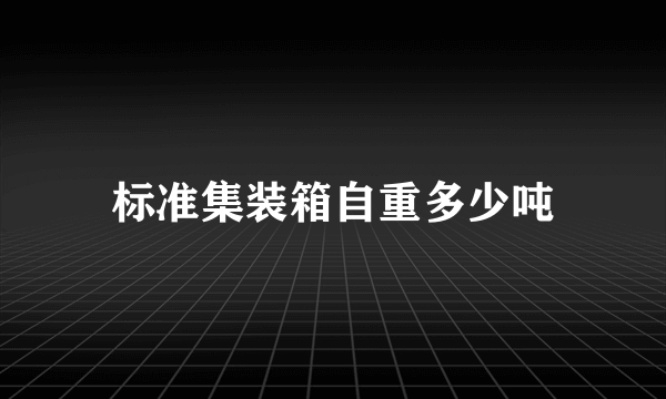 标准集装箱自重多少吨