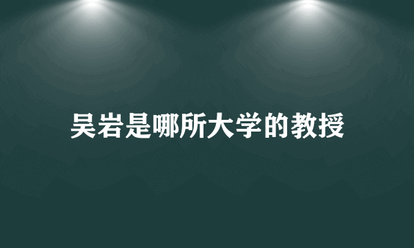 吴岩是哪所大学的教授