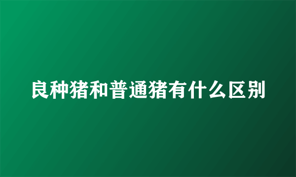 良种猪和普通猪有什么区别