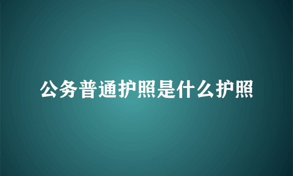 公务普通护照是什么护照