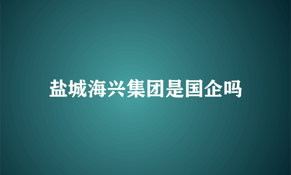 盐城海兴集团是国企吗