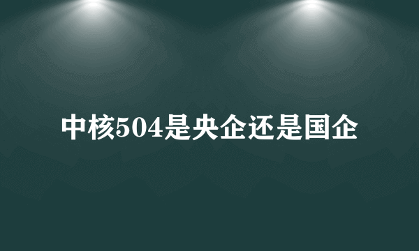 中核504是央企还是国企