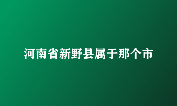 河南省新野县属于那个市