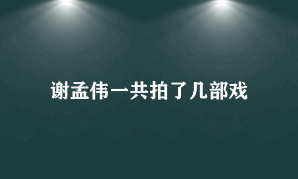 谢孟伟一共拍了几部戏