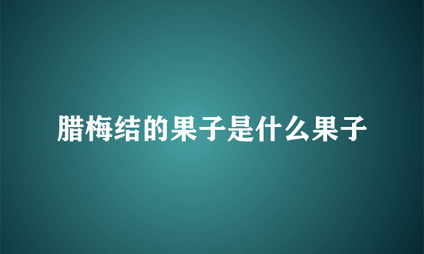 腊梅结的果子是什么果子