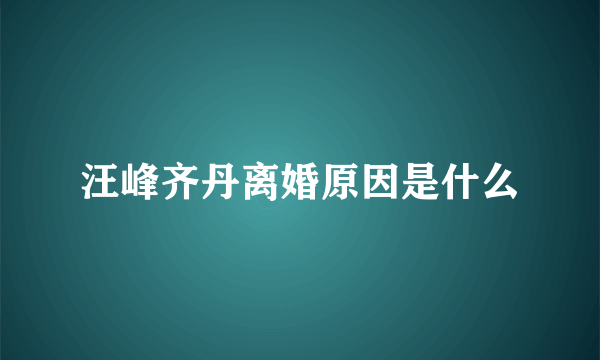 汪峰齐丹离婚原因是什么