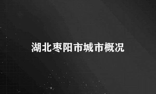 湖北枣阳市城市概况