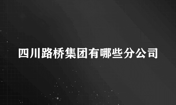 四川路桥集团有哪些分公司