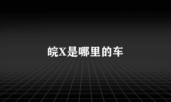 皖X是哪里的车