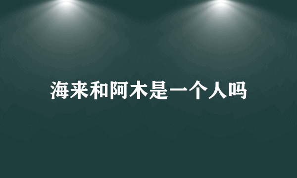 海来和阿木是一个人吗