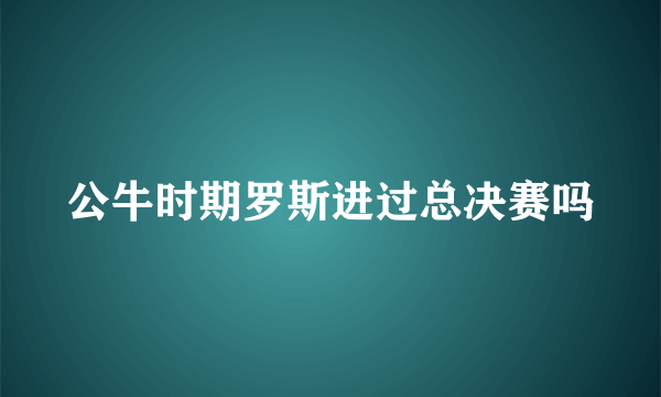 公牛时期罗斯进过总决赛吗