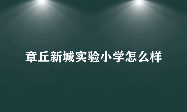 章丘新城实验小学怎么样