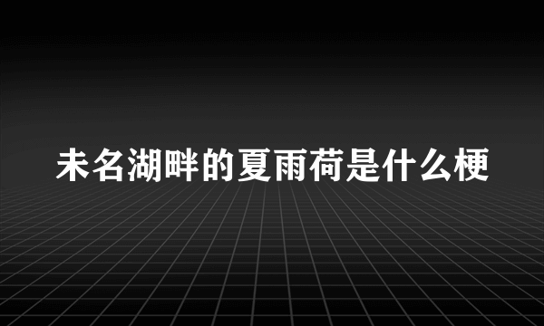 未名湖畔的夏雨荷是什么梗