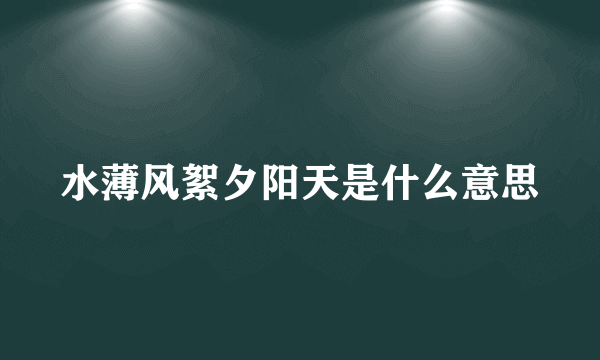 水薄风絮夕阳天是什么意思