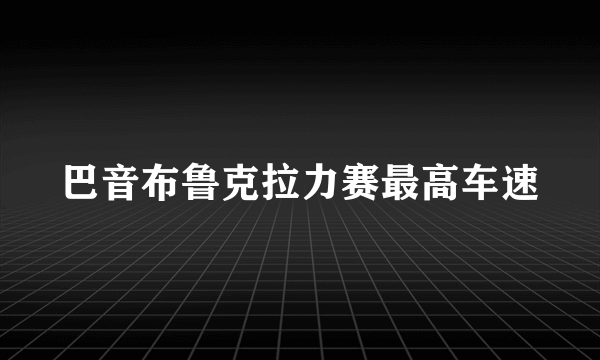 巴音布鲁克拉力赛最高车速