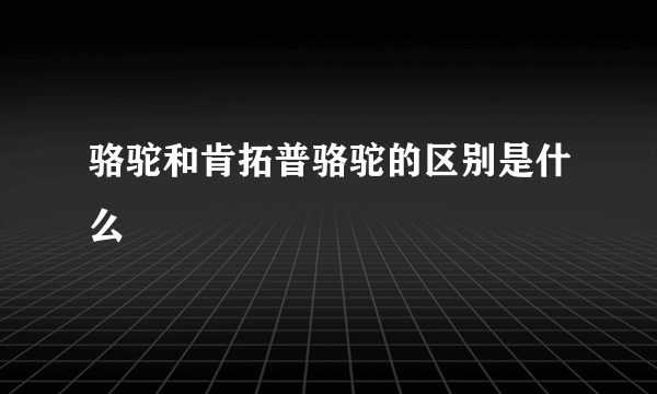 骆驼和肯拓普骆驼的区别是什么