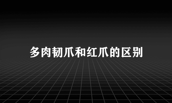 多肉韧爪和红爪的区别