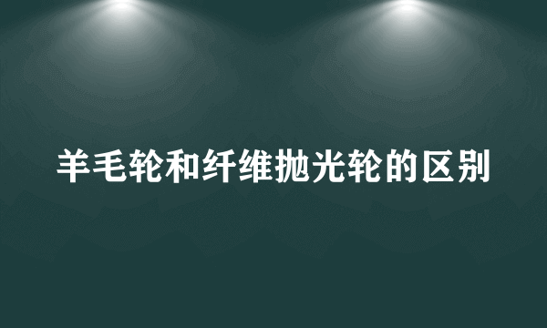 羊毛轮和纤维抛光轮的区别