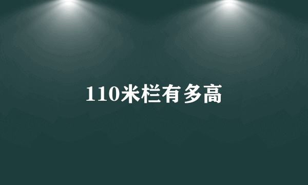 110米栏有多高