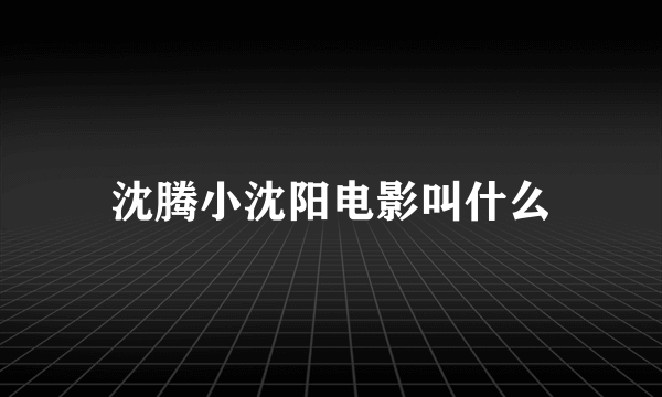 沈腾小沈阳电影叫什么