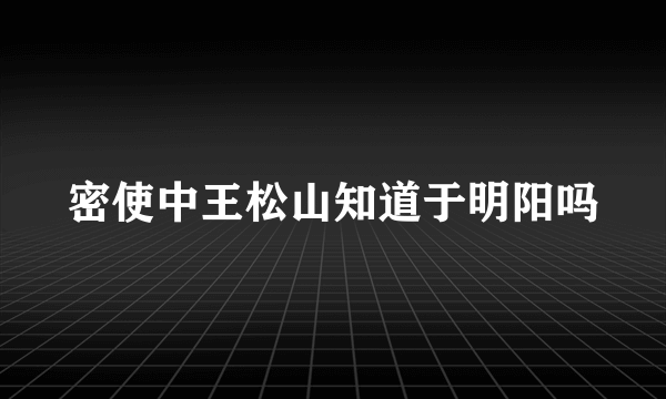 密使中王松山知道于明阳吗