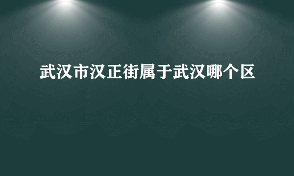 武汉市汉正街属于武汉哪个区